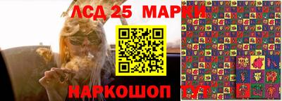 скорость Дубна