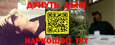 скорость Дубна