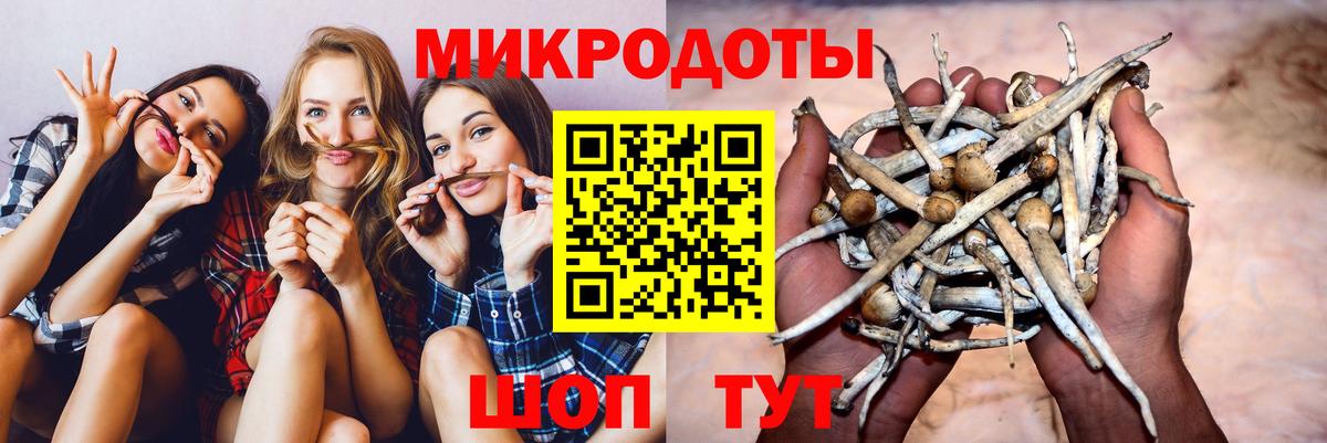 Псилоцибиновые грибы Psilocybe  Галлюциногенные грибы Psilocybe  Вход с VPN  Майский 