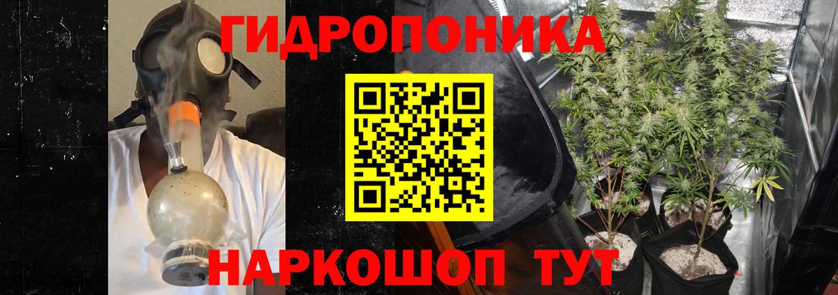 Конопля LSD WEED  Вход с VPN  Конопля планчик  Майский  Шишки марихуана семена 